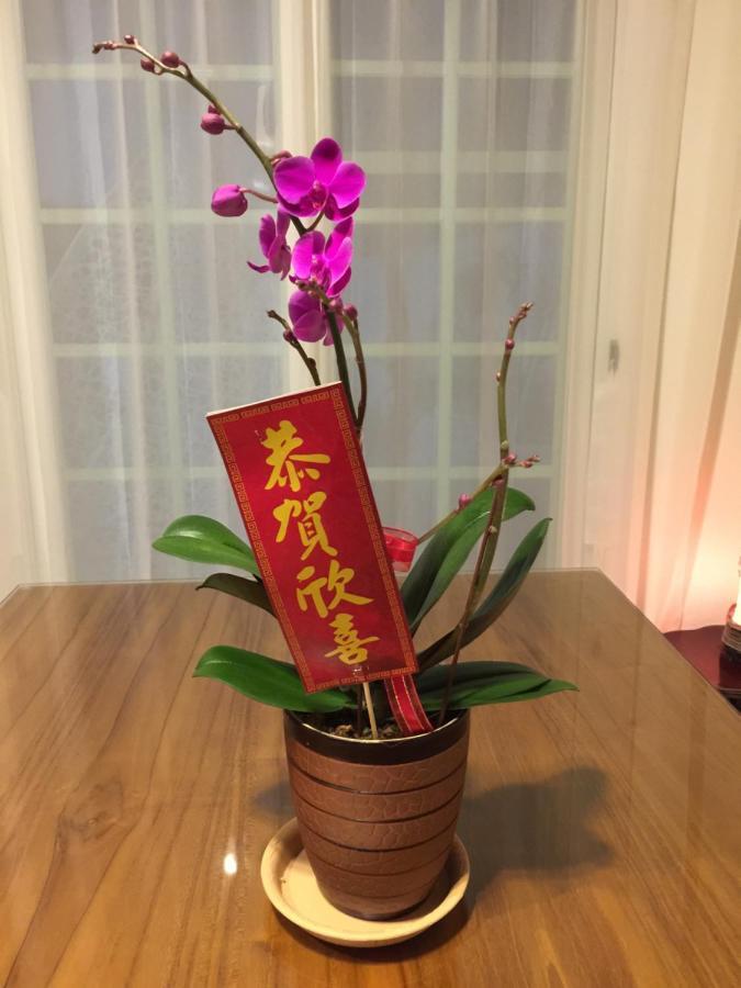 橋見幸福民宿 花莲市 外观 照片